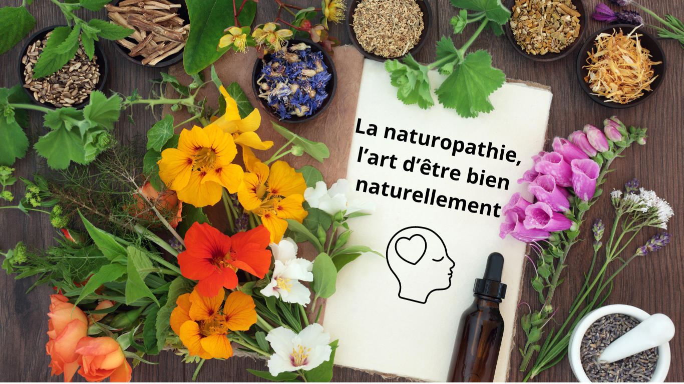 La naturopathie l art d etre bien naturellement site web 